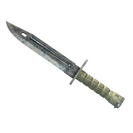 ★ Bayonet | Stained (Field-Tested)