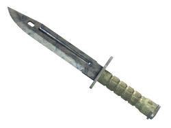 ★ StatTrak Bayonet | Stained