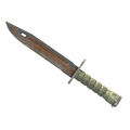 ★ Bayonet | Rust Coat