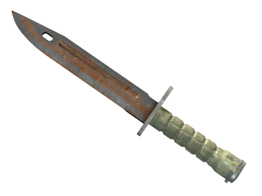 ★ Bayonet | Rust Coat