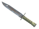 Bayonet | Rust Coat (Well-Worn)