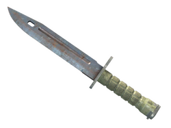 ★ Bayonet | Rust Coat