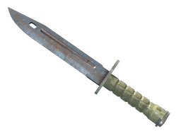 ★ Bayonet | Rust Coat (Well-Worn)