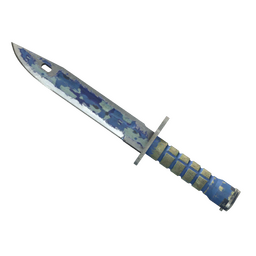 ★ StatTrak™ Bayonet | Bright Water