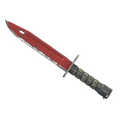 ★  Bayonet | Crimson Web