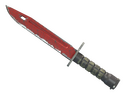 StatTrak™ Bayonet | Crimson Web (Field-Tested)