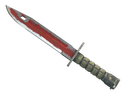 Bayonet | Crimson Web (Battle-Scarred)