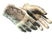 ★ Водительские перчатки | Королевский змей (Поношенное)