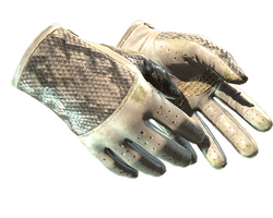 ★ Driver Gloves | King Snake