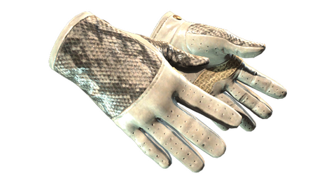 ★ Driver Gloves | King Snake (Minimal Wear)