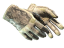Driver Gloves | King Snake (Battle-Scarred)
