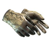 ★ Driver Gloves | Diamondback (Field-Tested)