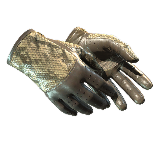 ★ Driver Gloves | Diamondback (Well-Worn)