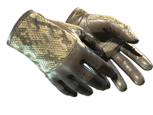 ★ Driver Gloves | Diamondback (Field-Tested)