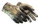 Driver Gloves | Diamondback (Minimal Wear)