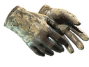Driver Gloves | Diamondback (Battle-Scarred)