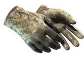 ★ Водительские перчатки | Гремучая змея (Закалённое в боях)