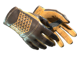 ★ Driver Gloves | Overtake