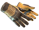 ★ Driver Gloves | Overtake (Minimal Wear)