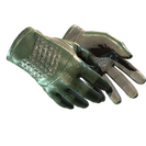 ★ Driver Gloves | Racing Green (Field-Tested)