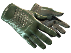 ★ Driver Gloves | Racing Green