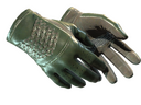 Driver Gloves | Racing Green (Minimal Wear)