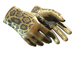 ★ Driver Gloves | Queen Jaguar