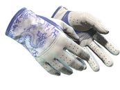 ★ Driver Gloves | Wave Chaser (Minimal Wear)