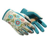 ★ Driver Gloves | Garden (Minimal Wear)