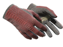 Driver Gloves | Dragon Fists (Field-Tested)