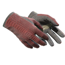 ★ Driver Gloves | Dragon Fists (Field-Tested)