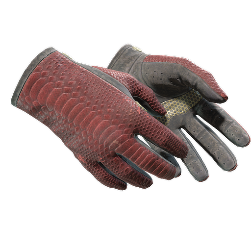 ★ Driver Gloves | Dragon Fists (Field-Tested) — CS2 item