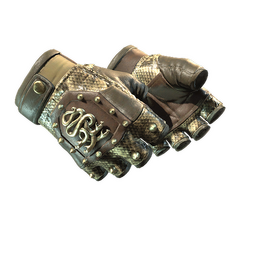 ★ Hydra Gloves | Rattler