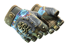 ★ Hydra Gloves | Case Hardened