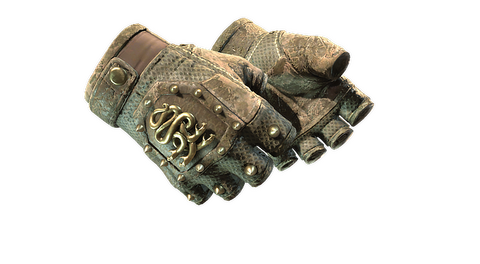 ★ Hydra Gloves | Mangrove (Battle-Scarred)