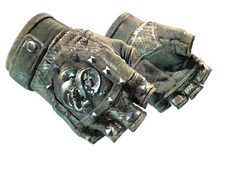 ★ Broken Fang Gloves | Unhinged