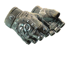 ★ Broken Fang Gloves | Unhinged