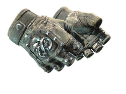 ★ Broken Fang Gloves | Unhinged