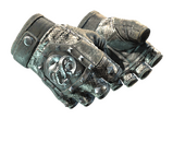 ★ Broken Fang Gloves | Unhinged (Well-Worn)