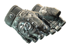 ★ Broken Fang Gloves | Unhinged