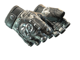 ★ Broken Fang Gloves | Unhinged (Factory New)