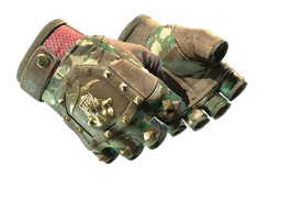 ★ Bloodhound Gloves | Guerrilla (Well-Worn)