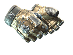 ★ Bloodhound Gloves | Bronzed (Field-Tested)