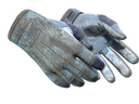 Sport Gloves | Frosty (Battle-Scarred)