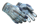 Sport Gloves | Frosty (Field-Tested)