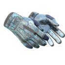 ★ Sport Gloves | Frosty (Field-Tested)