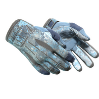 ★ Sport Gloves | Frosty (Field-Tested)
