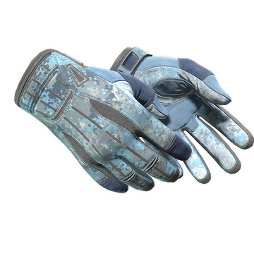 ★ Sport Gloves | Frosty (Field-Tested)