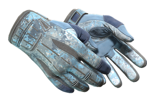 ★ Sport Gloves | Frosty