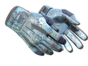 Sport Gloves | Frosty (Minimal Wear)